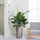 thumbnail image 2 of Macetero autorregante Ana Luisa 58, 2 of 3