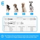 thumbnail image 4 of Collar para perros Blueberry Pet Essentials de nailon rosa para perros grandes, 4 of 8