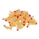 thumbnail image 5 of 50pcs 2.4cm señuelo de la pesca gusano grub señuelos señuelos suaves falsos gusanos beige, 5 of 5