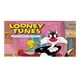 thumbnail image 1 of Silvestre y Piolín Fondo Temático Pancarta Suministros de Decoración para Fiesta de Cumpleaños, Decoración de Fondo de Fiesta Personalizado,150x90cm, 1 of 6