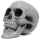 thumbnail image 3 of Calavera MOKRY PARTY 20 × 15 × 20 cm Blanca para Decoración de Halloween, 3 of 7
