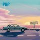 thumbnail image 2 of Álbum de Vinilo LP PUP ¿Quién Cuidará a los Perros?, 2 of 2