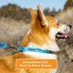 thumbnail image 2 of Collar para perro PAWBLEFY de nailon reflectante personalizado con nombre, 2 of 7