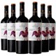 thumbnail image 1 of 6 Vinos Tradicion Mezcla Tinta (Cs/ Ca), 750 ml, 13.5%, 1 of 3