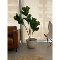 Arbusto Real - Planta Artificial Decorativa Arbol Grande Ficus Lyrata 180C