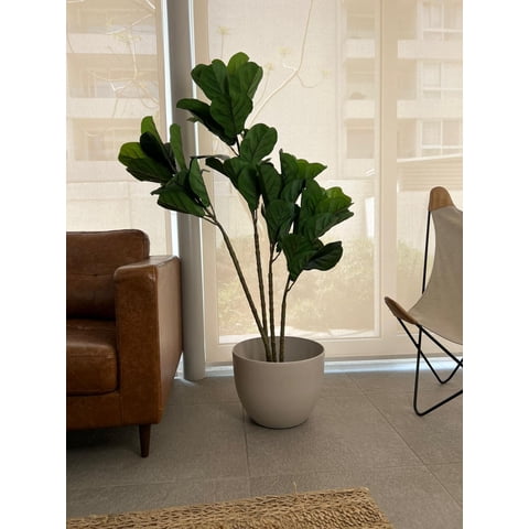 Arbusto Real - Planta Artificial Decorativa Arbol Grande Ficus Lyrata 180C