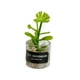 thumbnail image 4 of Mini Juguetes Para Casa De Mu?ecas Modelo De Paisaje Estático Modelado Mini Plantas Artificiales Estilo H, 4 of 5