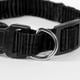 thumbnail image 3 of Collar para Perro Mediano Pet Champion Negro Ajustable 2540cm, 3 of 3