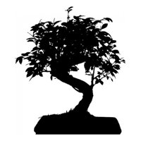 Rienda Libre Graphics - Decomural Bonsai Tree Kitchen Ws-15828