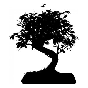 Rienda Libre Graphics - Decomural Bonsai Tree Kitchen Ws-15828