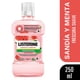 thumbnail image 2 of Enjuage Bucal Sandia Listerine 250Ml, 2 of 9