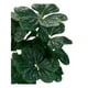 thumbnail image 2 of Planta Artificial Tipo Fiddle Tree. Altura: 75Cm, 2 of 4