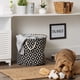 thumbnail image 5 of Lámina de celosía Bone Dry 6192 de Pet Storage Collection, 5 of 9