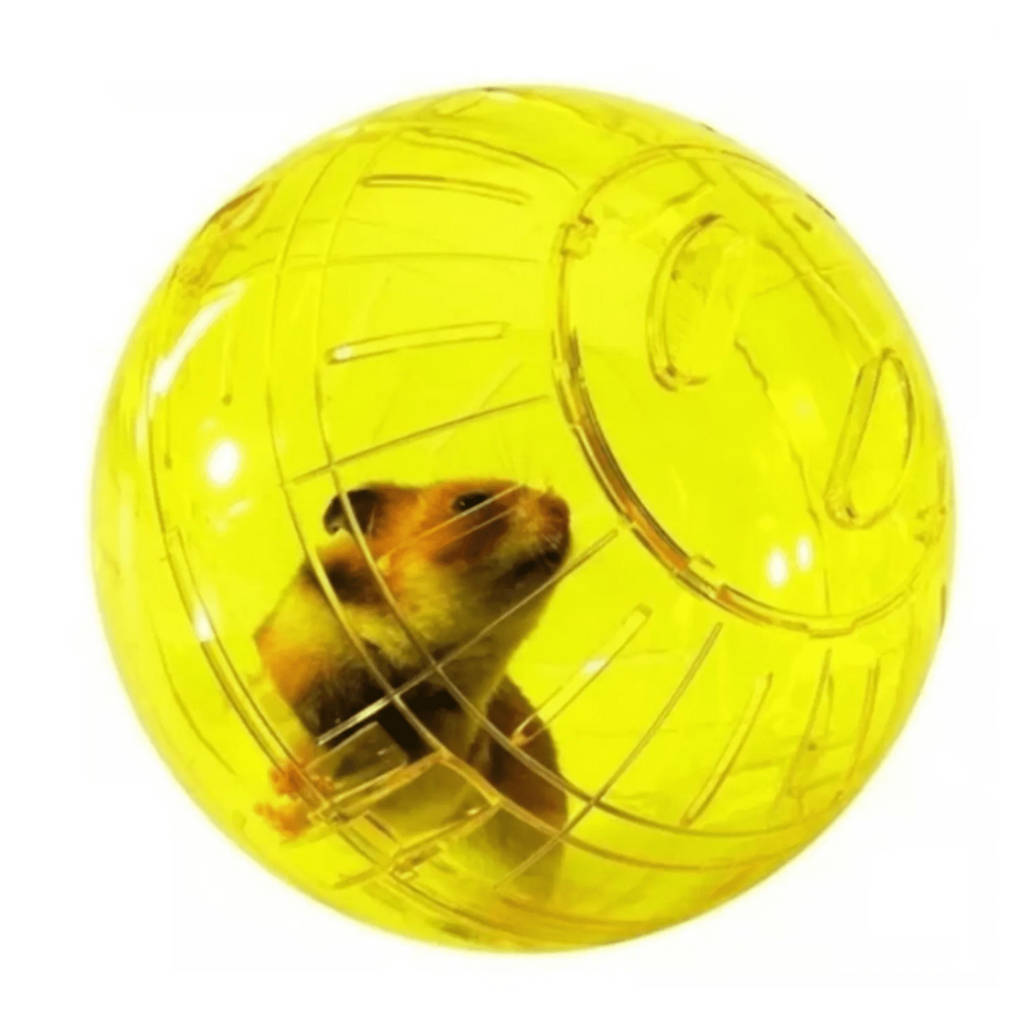 Genérico - Bola Rueda Para Ejercicios Hamster