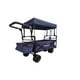 thumbnail image 1 of CARRO WAGON PLEGABLE AZUL CON TECHO, 1 of 6