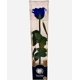 thumbnail image 1 of Rosa Preservada Natural 30cm En Acetato Azul, 1 of 2
