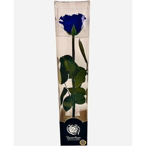 Allpa-Roseamor - Rosa Preservada Natural 30Cm En Acetato Azul