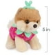 thumbnail image 2 of Peluche GUND Boo, el perro más lindo del mundo, fresa, 13 cm, 2 of 3