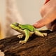 thumbnail image 2 of Figura de juguete Schleich Wild Life European Tree Frog de 3 años o más, 2 of 6