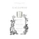 thumbnail image 3 of Perfume Parfums de Marly Galloway Eau de Parfum 75 ml para hombre, 3 of 5