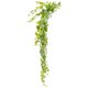 thumbnail image 1 of Arbusto artificial de hoja de parra con forma de hiedra colgante, 183 cm, Vickerman, 1 of 5