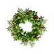 thumbnail image 1 of Guirnalda De Hojas Verdes Colgante Floral Romántico Para Puertas Delanteras Tienda Ventanas Estilo C, 1 of 5
