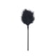 thumbnail image 1 of Flirting Feather Stick, Feather Tickler, Couple BDSM Sex Toys, 1 of 3