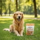 thumbnail image 4 of Colagepet Snack Para Perros 100% Natural Talla S Sabor Pollo, 4 of 5