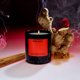 thumbnail image 5 of Vela perfumada Boy Smells Ash para hombre y mujer, 250 ml, 5 of 7