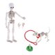 thumbnail image 5 of Miniaturas De Casa De Mu?ecas, Figura De Esqueleto, Juego De Cuencos Para Perros Y Mu?ecas, Accesorios De Halloween, 5 of 5