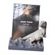 thumbnail image 5 of Lindo Dinosaurio Marco De Fotos Ornamento Mesa Decoración Regalo Hogar Fotografía Arte Gris, 5 of 5