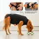 thumbnail image 5 of Traje de recuperación adecuado para cirugía de perros, color negro, talla grande, 5 of 9