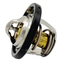 Termostato Ford Expedition 2018-2024