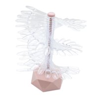 Magideal - Soporte De Exhibición De Esmalte De Uñas, Herramienta De Práctica De Uñas, Estante De Exhibición En Espiral, Exhibición De Tabla De Colores De Arte De Rosa