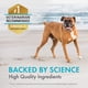 thumbnail image 4 of Suplemento Nutramax Welactin Daily Omega 3 Para Perros 60 Unidades Masticables, 4 of 8