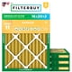 thumbnail image 1 of Filtro de aire Filterbuy MERV 11 16x20x2 (paquete de 4) Allergen Defense, 1 of 9