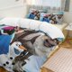 thumbnail image 1 of Frozen 3-Piece Bedding Set Soft Warm And Comfortable Bed Set, 1 of 5