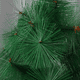 thumbnail image 2 of Árbol De Navidad 210cm Pet Con Ramas De Pino, Montaje Rápido Verde, 2 of 3
