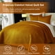 thumbnail image 2 of Juego de cama Ivellow King Size 3 piezas de terciopelo ligero, 2 of 8