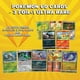 thumbnail image 2 of Juego de cartas coleccionables Pokemon TCG 60ct Pack Mighty Mojo 3 Lámina 1 Ultra Raro, 2 of 3