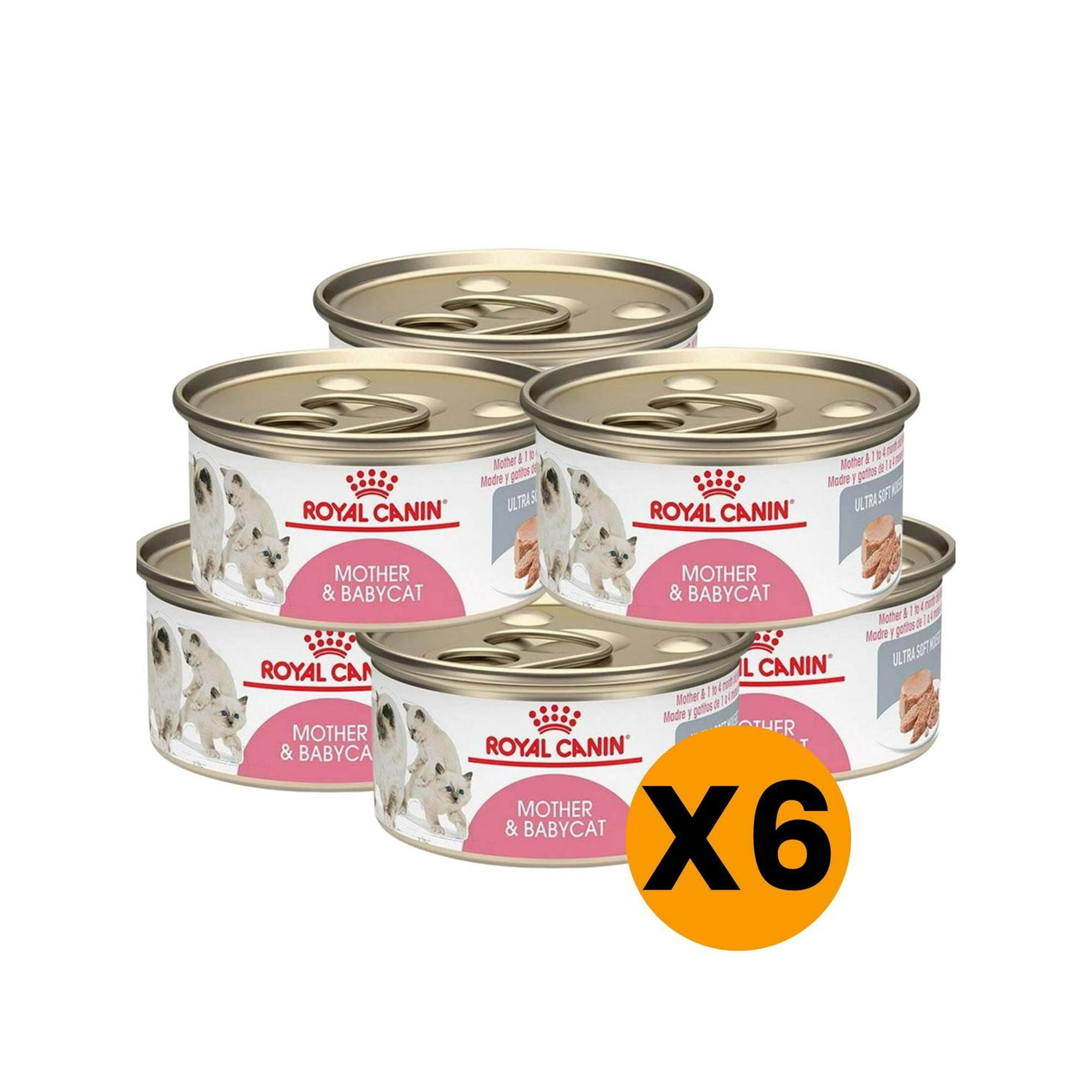 ALIMENTO ROYAL CANIN MOTHER AND BABYCAT Lata 145Gr PACK X6 amarillo