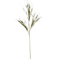 Corel - Rama Sauce Electrico Dorado Claro 72Cm