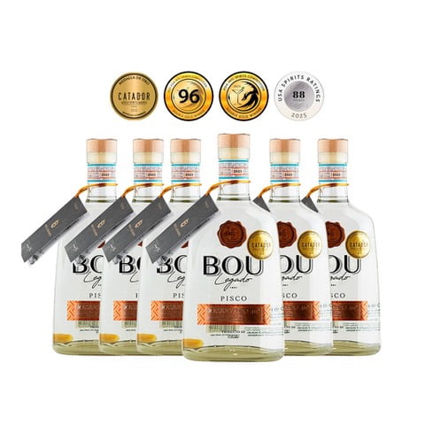 Caja X6 Pisco Blanco 40º