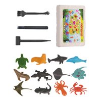 Bothyi - Kits De Excavación De Descubrimiento De Arqueología Kits De Aprendizaje De Ciencias Para Niños Animales Marinos