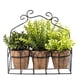 thumbnail image 1 of Plantas en Canasto Metalico 28 cm, 1 of 2
