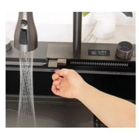 Aquatrend - Lavaplatos 46X75X22 Grifería Con Panel Digital Lavavasos Cascada De Agua Y Acc