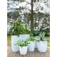 thumbnail image 3 of Macetero Blanco Amsterdam 65 cm Alto Con Plato, 3 of 3