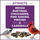 thumbnail image 3 of Semillas para pájaros silvestres Pennington Pride Songbird, frutos secos y frutos secos, 4,5 kg, 3 of 9