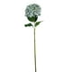 thumbnail image 1 of Hortensia Celeste Lila Con Hojas 82cm, 1 of 3