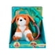 thumbnail image 3 of Set veterinario ANSALDO perro de peluche y accesorios, 3 of 3